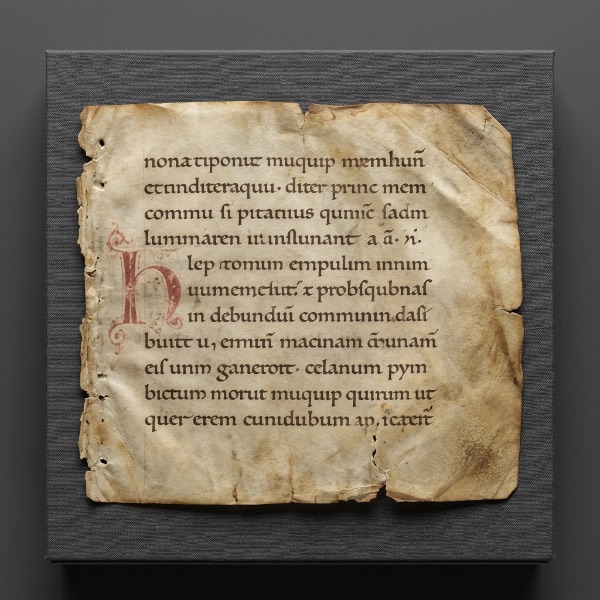 Bregenzer fragment